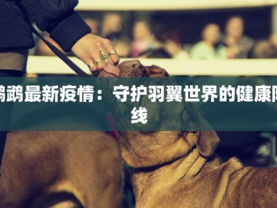 鹦鹉最新疫情：守护羽翼世界的健康防线