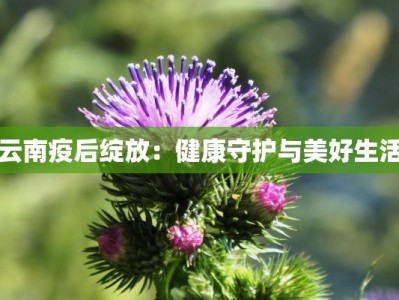 云南疫后绽放：健康守护与美好生活