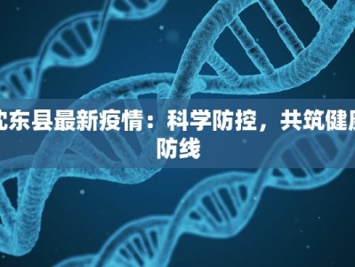沈东县最新疫情：科学防控，共筑健康防线