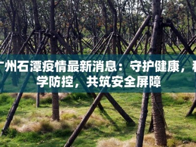 广州石潭疫情最新消息：守护健康，科学防控，共筑安全屏障