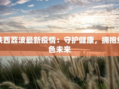 陕西荔波最新疫情：守护健康，拥抱绿色未来