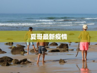 广州疫情明细最新