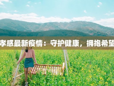 孝感最新疫情：守护健康，拥抱希望